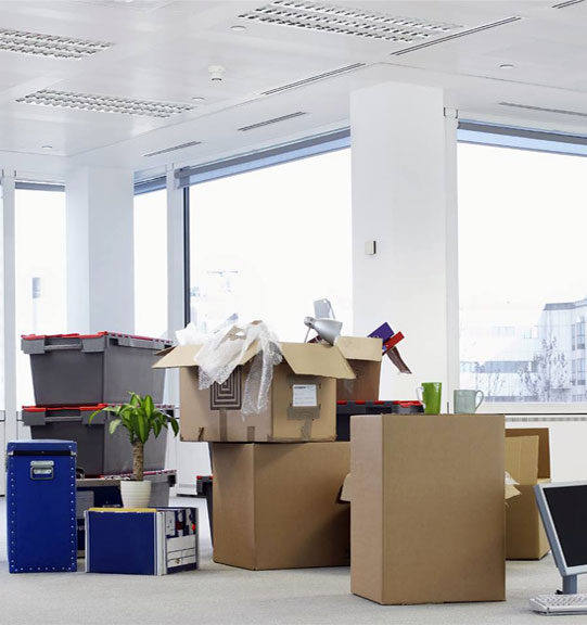 Specialist Removal Services