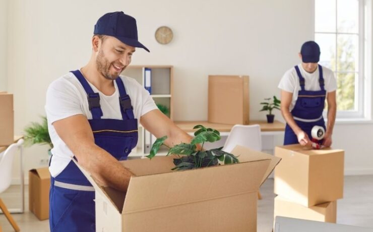 What are the essential questions to ask moving companies?