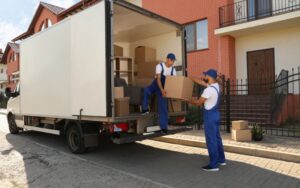 How Much Do European Removals Cost?
