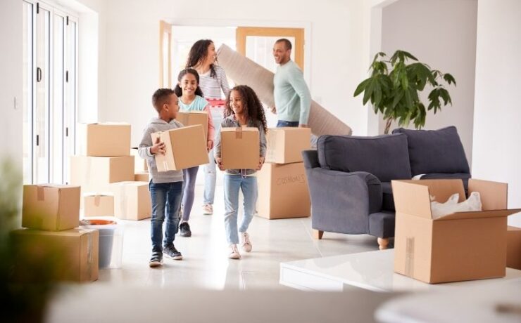 What makes a tree moving service reliable?
