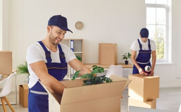 What to Expect from Professional House Removal Services