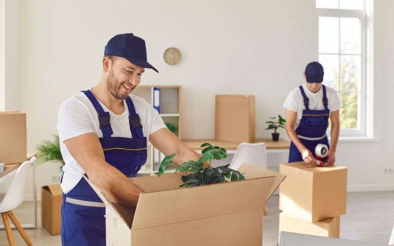 What to Expect from Professional House Removal Services