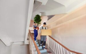 Relocating for Work Abroad: Removal Planning Guide