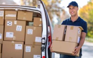 How Much Do European Removals Cost