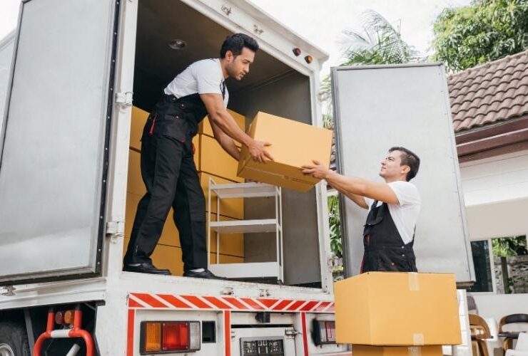 How Much Do European Removals Cost